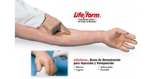 brazo-de-demostracion-para-inyeccion-y-venopuncion-nasco-lf01131u