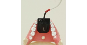 simulador-de-rayos-x-para-el-dominio-de-la-radiografia-dental-juego-de-maniqui-de-rayos-x-con-tripie-de-nissin-2
