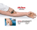 brazo-de-demostracion-para-inyeccion-y-venopuncion-nasco-lf01131u