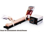 brazo-de-entrenamiento-arterial-venoso-nasco-sb26040u