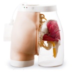 modelo-de-inyeccion-im-sb31026u-de-nasco