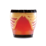 01-fantoma-de-ecografia-abdominal-con-patologias-abdfan-us-1b-de-kyoto-kagaku