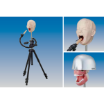 simulador-de-rayos-x-para-el-dominio-de-la-radiografia-dental-modelo-juego-de-maniqui-de-rayos-x-pediatrico-de-nissin