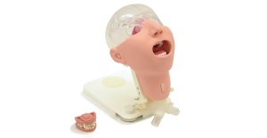 Simulador avanzado de cuidado oral MW29 de Kyoto Kagaku