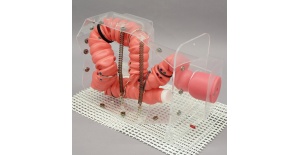 02-simulador-de-entrenamiento-de-colonoscopio-3d-nks-mw24-de-kyoto-kagaku