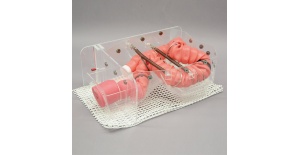 03-simulador-de-entrenamiento-de-colonoscopio-3d-nks-mw24-de-kyoto-kagaku