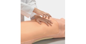 03-simulador-de-exploracion-abdominal-abdoabby-mw43-de-kyoto-kagaku