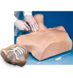 life-form-simulador-de-canulacion-venosa-central-lf01087u-de-nasco