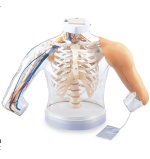 modelo-de-inyeccion-sb45069u-de-nasco