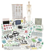 conjunto-de-biologia-experimental-para-4-grupos-eq353-cidepe