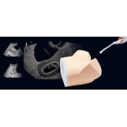 Fantoma de ultrasonido pélvico femenino US-10, US-10A, US-10B de Kyoto Kagaku