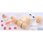 Simulador de entrenamiento obstétrico MW40 de Kyoto Kagaku