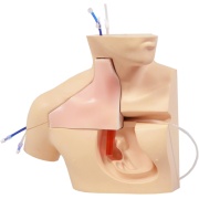 Simulador de inserción de CVC III M93C de Kyoto Kagaku