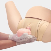 Simulador de asistencia al parto vaginal MW36 de Kyoto Kagaku
