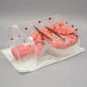 03-simulador-de-entrenamiento-de-colonoscopio-3d-nks-mw24-de-kyoto-kagaku