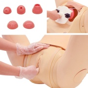 03-simulador-de-entrenamiento-obstetrico-mw40