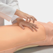 03-simulador-de-exploracion-abdominal-abdoabby-mw43-de-kyoto-kagaku