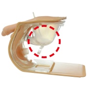 05-simulador-de-cuidado-de-cateter-suprapubico-mw58-mw59-de-kyoto-kagaku