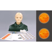 Simulador de examen ocular M82 de Kyoto Kagaku