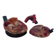 modelo-de-corazon-estilo-jumbo-xc-307c-de-Human3D2