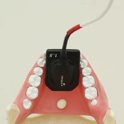 simulador-de-rayos-x-para-el-dominio-de-la-radiografia-dental-juego-de-maniqui-de-rayos-x-con-tripie-de-nissin-2
