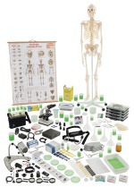 conjunto-biologia-b-para-4-grupos-eq353b-cidepe