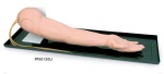 brazo-de-entrenamiento-iv-deluxe-pp00120u-de-nasco